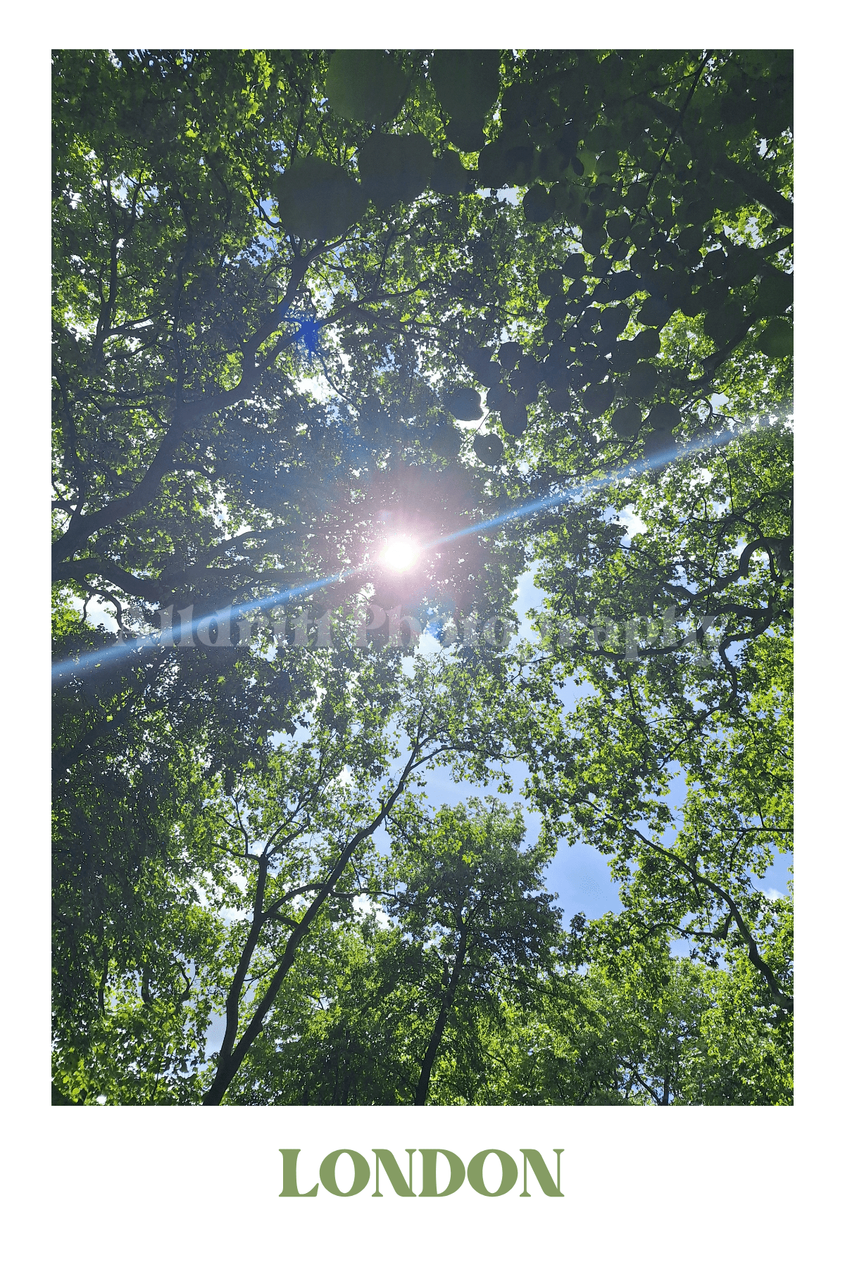 London Nature Set - Alldritt.Photographyproduct_name
