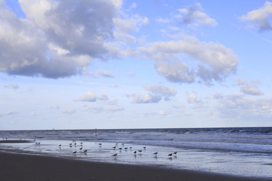 Scheveningen Photo Set